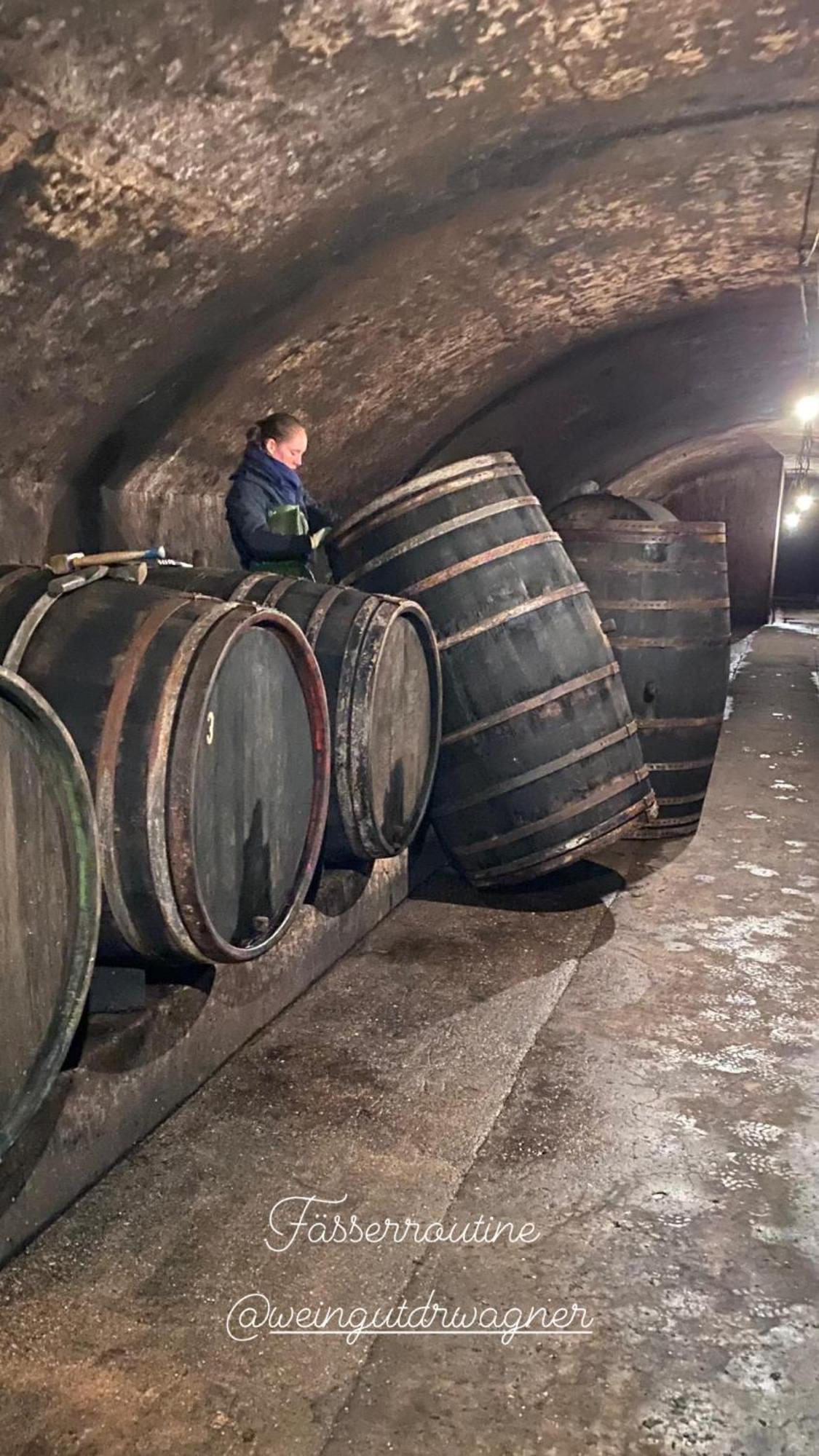 Weingut Dr Wagner Villa Сарбург Екстериор снимка